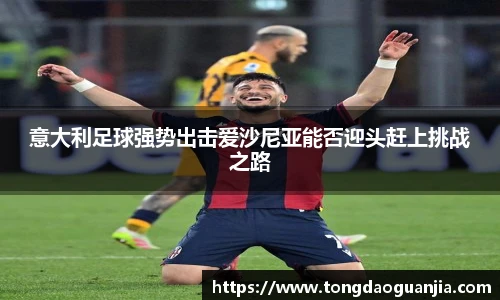 意大利足球强势出击爱沙尼亚能否迎头赶上挑战之路
